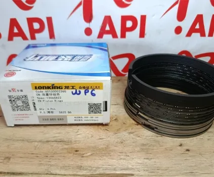 Xéc măng bộ hơi WP6