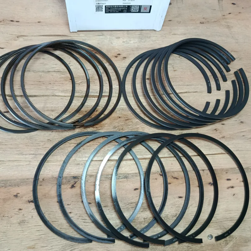 Bộ hơi động cơ WD10 chính hãng