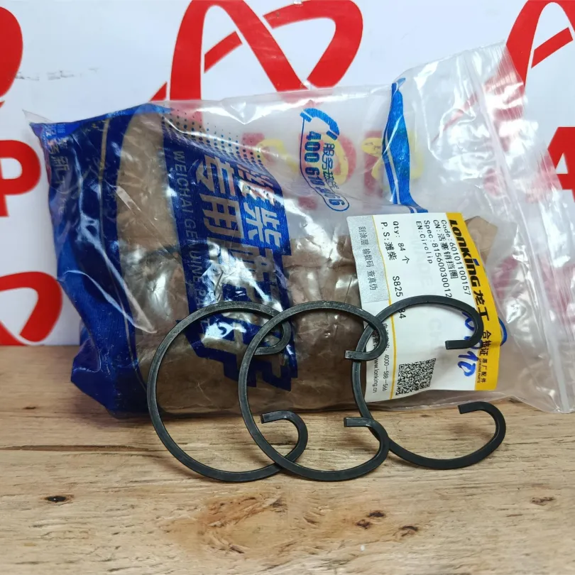 Bộ hơi động cơ WD10 chính hãng