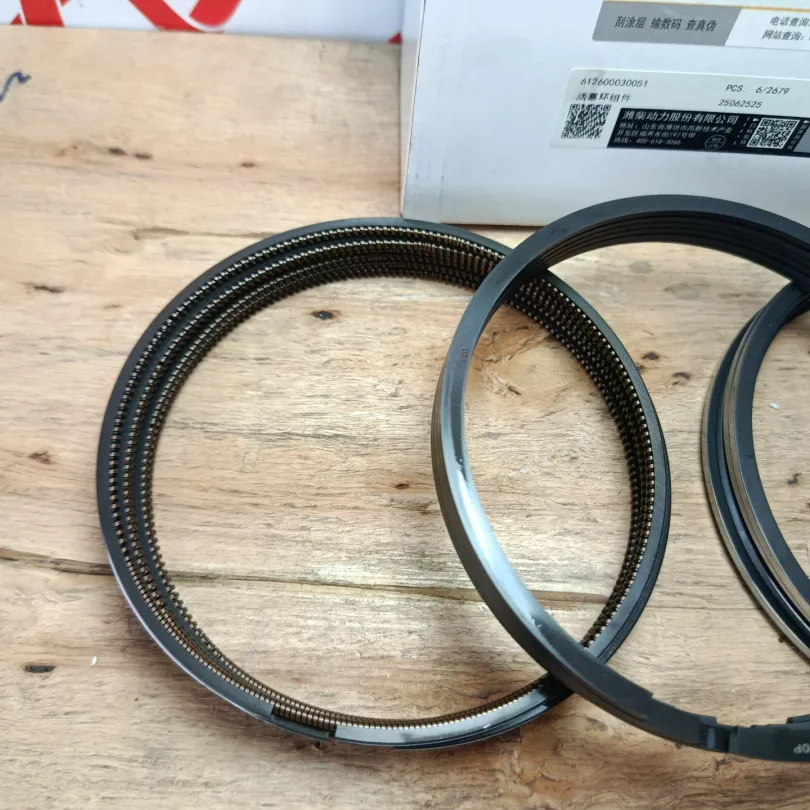 Xéc măng bộ hơi WD10