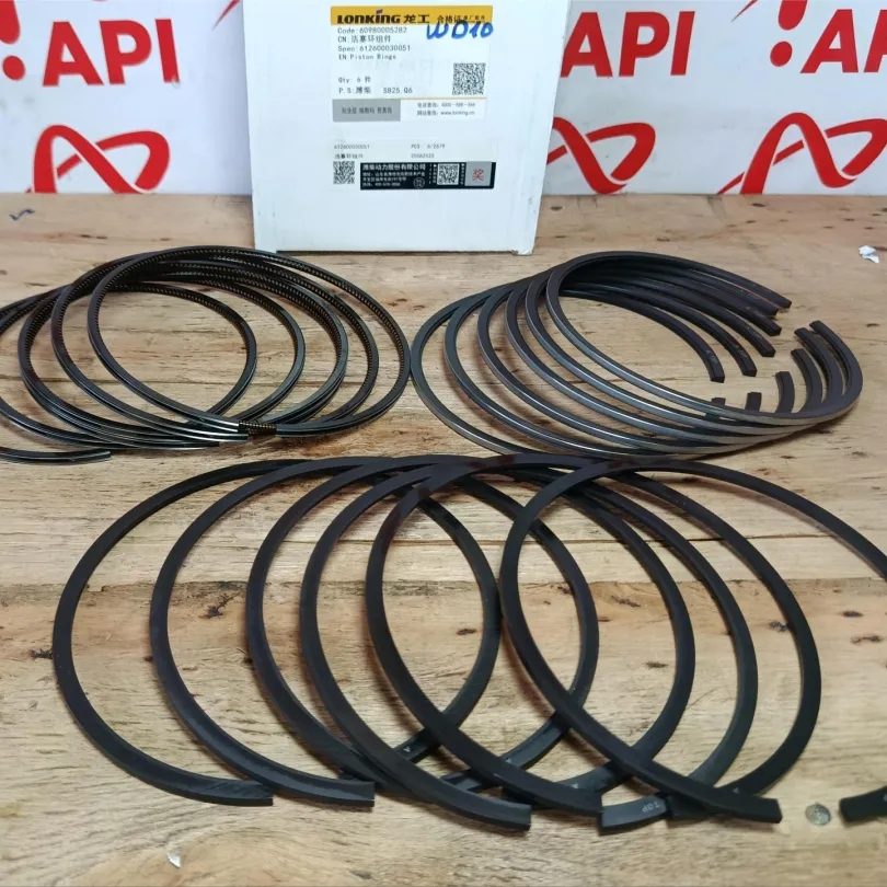 Xéc măng bộ hơi WD10