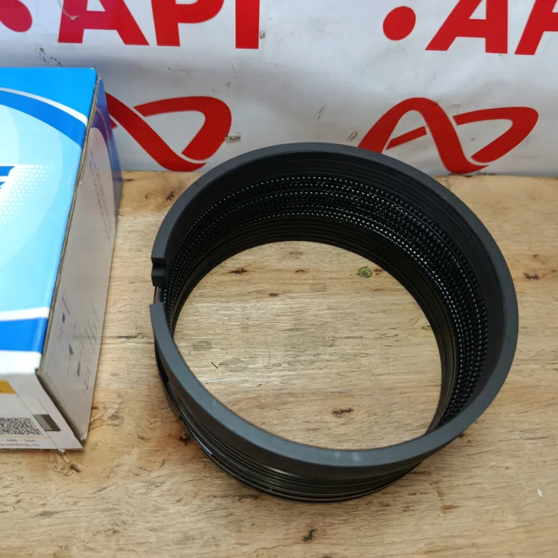 Xéc măng bộ hơi WP6