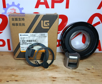 Bạc Đạn khung nâng Liugong