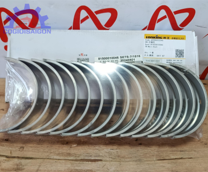 Bạc lót trục khuỷu (Miễng cốt) WD10