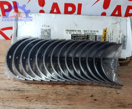 Bộ miễng cốt, miễng dên động cơ WP6