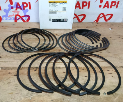 Xéc măng bộ hơi WD10