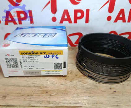 Xéc măng bộ hơi WP6