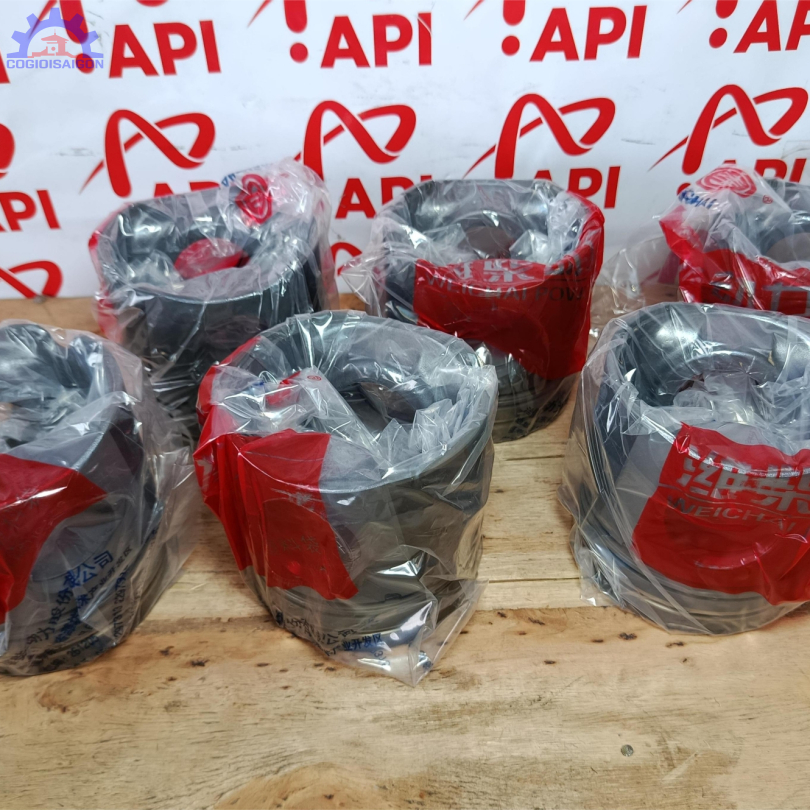 Bộ hơi động cơ WD10 chính hãng