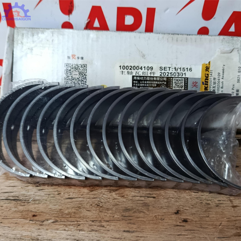 Bộ miễng cốt, miễng dên động cơ WP6