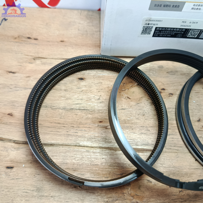 Xéc măng bộ hơi WD10