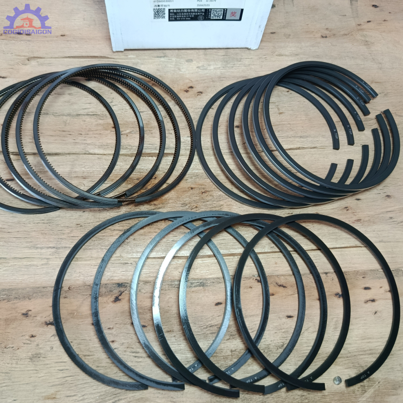 Xéc măng bộ hơi WP6